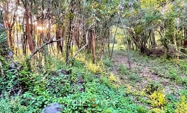 Terreno Construccion  en Venta en Sector Quilentué - Villarrica