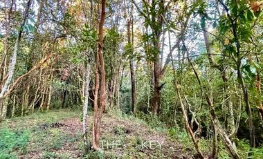 Terreno Construccion  en Venta en Sector Quilentué - Villarrica