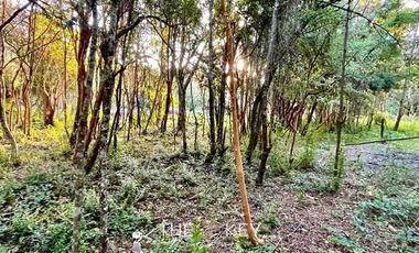 Terreno Construccion  en Venta en Sector Quilentué - Villarrica