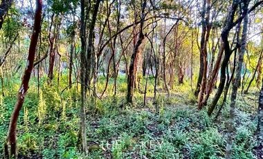 Terreno Construccion  en Venta en Sector Quilentué - Villarrica