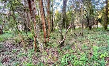 Terreno Construccion  en Venta en Sector Quilentué - Villarrica