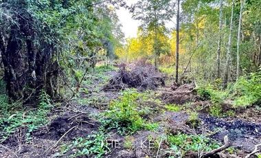 Terreno Construccion  en Venta en Sector Quilentué - Villarrica