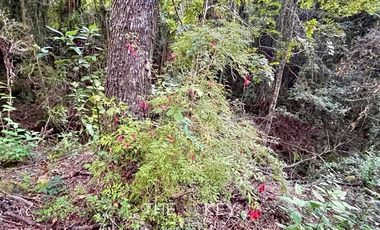 Terreno Construccion  en Venta en Sector Quilentué - Villarrica
