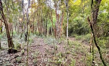Terreno Construccion  en Venta en Sector Quilentué - Villarrica