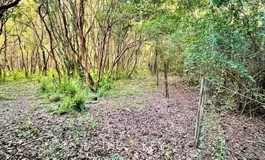 Terreno Construccion  en Venta en Sector Quilentué - Villarrica