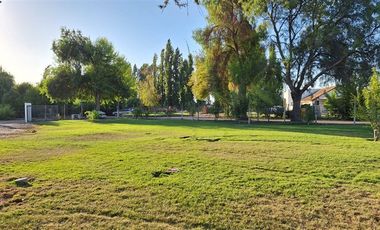 Parcela en Arriendo en Condominio el Algarrobal