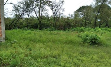 Terreno ejidal en Venta Fracc. San Antonio Chico, La Venta del Astillero, Jal.