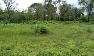 Terreno ejidal en Venta Fracc. San Antonio Chico, La Venta del Astillero, Jal.