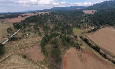 Terreno Ejidal listo para Escriturar, 5 lotes de 3000 m2 c/u, en Juanacatlan