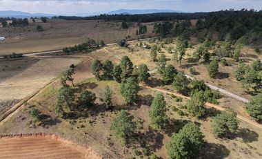 Terreno Ejidal listo para Escriturar, 5 lotes de 3000 m2 c/u, en Juanacatlan