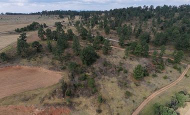 Terreno Ejidal listo para Escriturar, 5 lotes de 3000 m2 c/u, en Juanacatlan