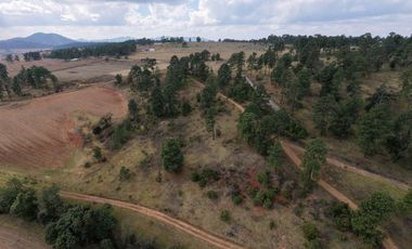 Terreno Ejidal listo para Escriturar, 5 lotes de 3000 m2 c/u, en Juanacatlan