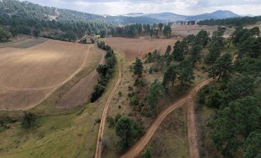 Terreno Ejidal listo para Escriturar, 5 lotes de 3000 m2 c/u, en Juanacatlan