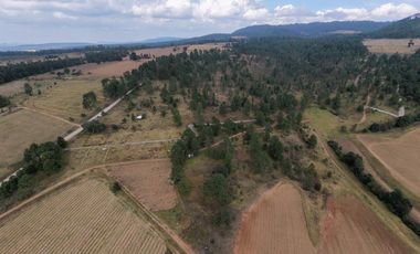Terreno Ejidal listo para Escriturar, 5 lotes de 3000 m2 c/u, en Juanacatlan