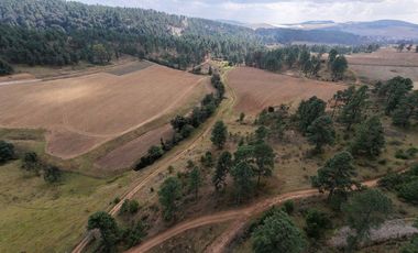 Terreno Ejidal listo para Escriturar, 5 lotes de 3000 m2 c/u, en Juanacatlan