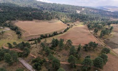 Terreno Ejidal listo para Escriturar, 5 lotes de 3000 m2 c/u, en Juanacatlan