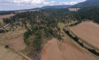 Terreno Ejidal listo para Escriturar, 5 lotes de 3000 m2 c/u, en Juanacatlan