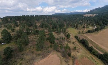 Terreno Ejidal listo para Escriturar, 5 lotes de 3000 m2 c/u, en Juanacatlan