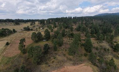 Terreno Ejidal listo para Escriturar, 5 lotes de 3000 m2 c/u, en Juanacatlan