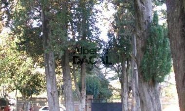 Casa en Venta en 408/Belg Villa Elisa - Alberto Dacal Propiedades