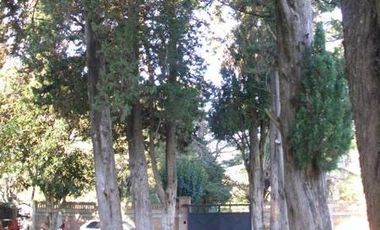 Casa en Venta en 408/Belg Villa Elisa - Alberto Dacal Propiedades