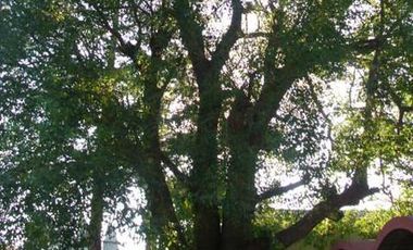 Casa en Venta en 408/Belg Villa Elisa - Alberto Dacal Propiedades