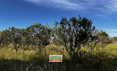 Casa con 1.1 Ha sobre Ruta 130 Villa Elisa Entre Ríos