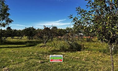 Casa con 1.1 Ha sobre Ruta 130 Villa Elisa Entre Ríos