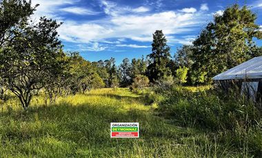 Casa con 1.1 Ha sobre Ruta 130 Villa Elisa Entre Ríos