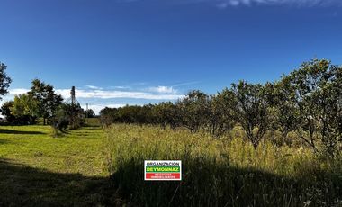 Casa con 1.1 Ha sobre Ruta 130 Villa Elisa Entre Ríos