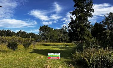 Casa con 1.1 Ha sobre Ruta 130 Villa Elisa Entre Ríos