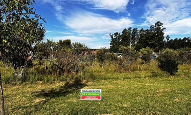 Casa con 1.1 Ha sobre Ruta 130 Villa Elisa Entre Ríos