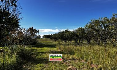 Casa con 1.1 Ha sobre Ruta 130 Villa Elisa Entre Ríos