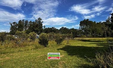 Casa con 1.1 Ha sobre Ruta 130 Villa Elisa Entre Ríos