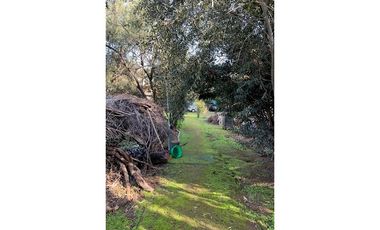 TERRENO PARA DESARROLLO INMOBILIARIO