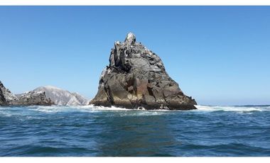 VIVE con vista al mar en Los Molles