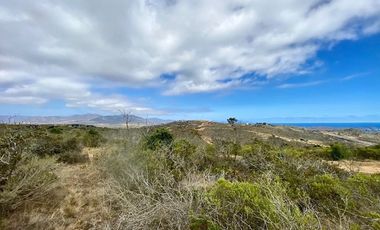 VIVE con vista al mar en Los Molles
