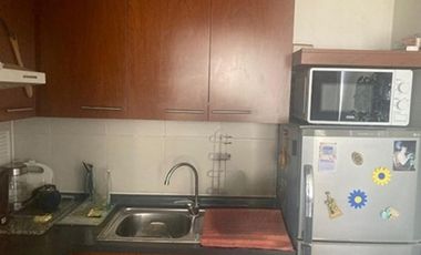 Arriendo Departamento Santa Isabel con Carmen