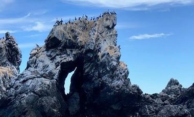 PUNTA CHOROS ISLA DAMAS