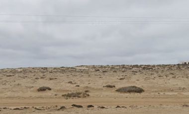 PUNTA CHOROS ISLA DAMAS