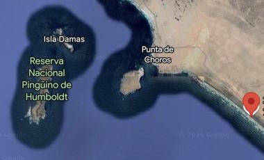 PUNTA CHOROS ISLA DAMAS