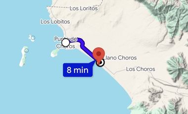 PUNTA CHOROS ISLA DAMAS