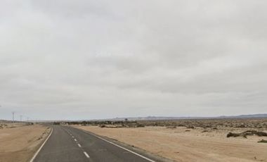 PUNTA CHOROS ISLA DAMAS