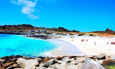 PUNTA CHOROS ISLA DAMAS