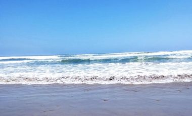 PUNTA CHOROS ISLA DAMAS