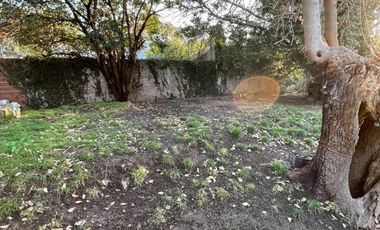 Casa - Hurlingham