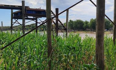 Cabaña en la isla - Paraná Viejo -  La Invernada - Victoria Entre Ríos | Venta
