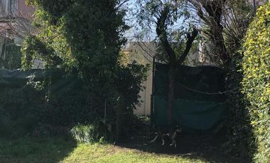 Consultorio I Comercial