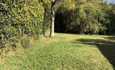 Consultorio I Comercial