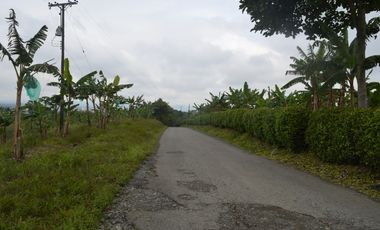 FINCA PRODUCTIVA EN FILANDIA